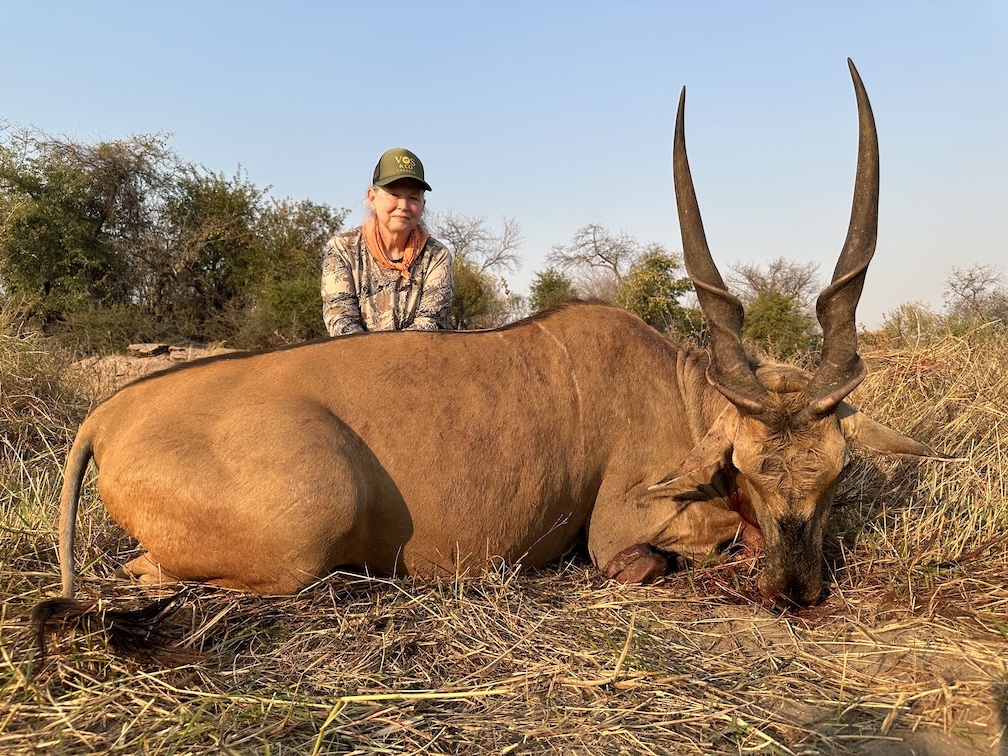 Beverly's Livingstone Eland